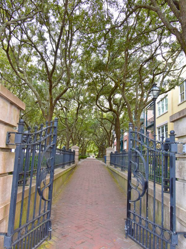 Black iron gates open onto a brick pathway covered by live oak trees at Waterfront Park in Charleston SC