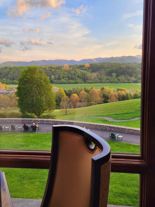 View from the Biltmore Inn's Library Lounge window of the estate's rolling green hills and forest